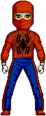Spider-Man - Movie Wrestling costume