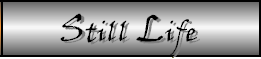 Click on image to go to Still Life Gallery.