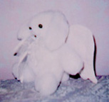 bunny10s.jpg (7748 bytes)