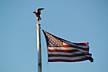 flag_and_eagle.JPG