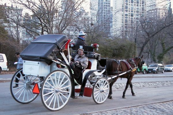 Central_Park-Carriage.JPG