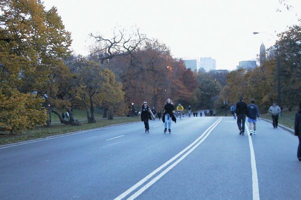 Central_Park-trial.JPG
