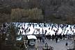 Central_Park-Wallman_Ring.JPG