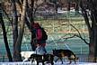 Central_Park-doggie2.JPG