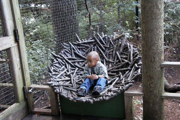 zoo-Bronx_Zoo_mama_I_wanna_pee.jpg
