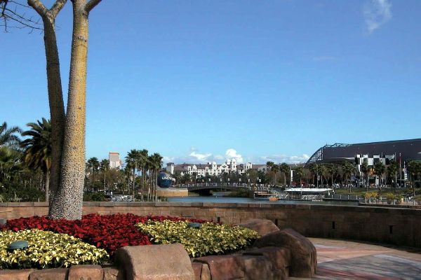 Florida_disneyland.jpg