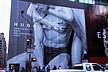 Fifth_Avenue-6.JPG