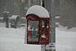 Heavy_snow-3.JPG