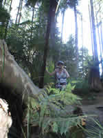 trail log