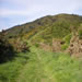 Trail2