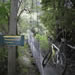 Bike on Bridge