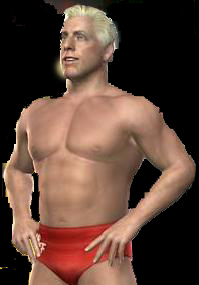 Ric Flair