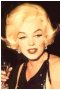 Marilyn the famous star