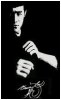 The Martial Art Legend (Bruce Lee)