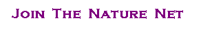 Join the Nature Net and start your journey in tune with nature. Simply email us at nf_network@mailcity.com