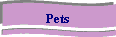 Pets