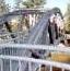 [Bridge]