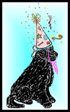 Birthdays