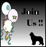 Join Us ~ Membership Information