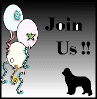 Membership Information