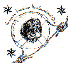 NFNC Logo