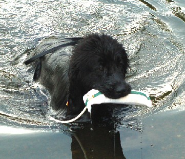 Water Work