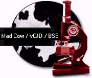 Mad Cow / vCJD / BSE / Bird Flu