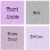 Tori Amos  Not From Your Tribe