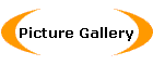 Picture Gallery