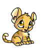 kougra_baby_claw.gif (13357 bytes)