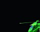 Heli.jpg