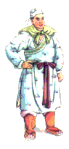 Zhu Fu