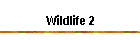 Wildlife 2