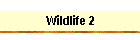 Wildlife 2