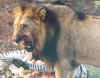 openup2.JPG (38483 bytes)