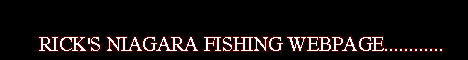 Rick's Niagara Fishing Web Site