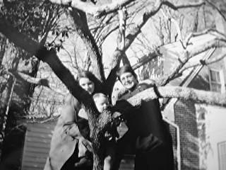 Mama and Baby and Aunt Boo in Dogwood