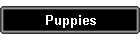 Puppies