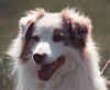 sandy1sm.JPG (8891 bytes)