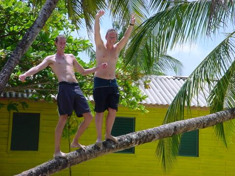 Who de king of de coconut ting? James and Neil 'climb' the only coconut tree they'll be able to, Picnic beach, Big Corn Island.