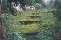 The World War II cementery