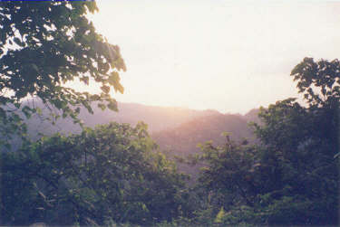 A scenery from Changlang - Margerita road