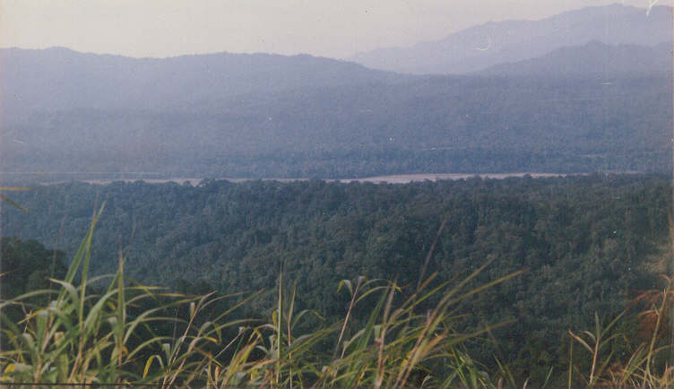 A scenery from Namdapha