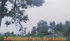 Sericulture.gif
