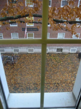 All the leaves are brown...