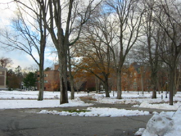 Bowdoin is all white... in more ways than one!