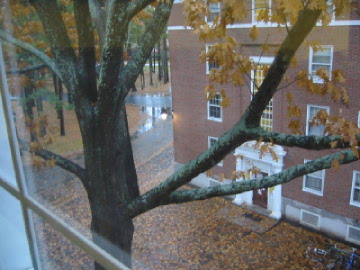 and the sky is grey...