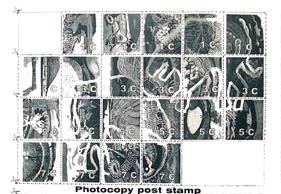 K_Van: photocopy