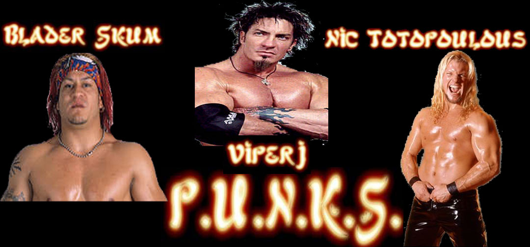 p.u.n.k.s..jpg (104821 bytes)