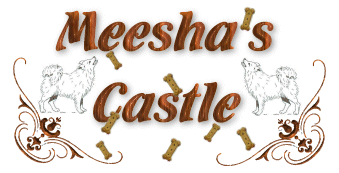Meesha's Castle